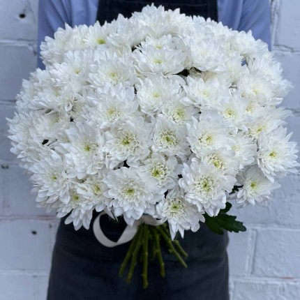 Белая кустовая хризантема - купить с доставкой в Липецке