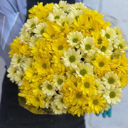 желтая кустовая хризантема - купить с доставкой в Липецке